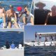 aktuell2016 kroatien